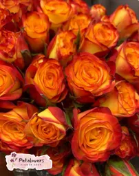 Arreglo Bouquet Rosas Naranjas Halloween