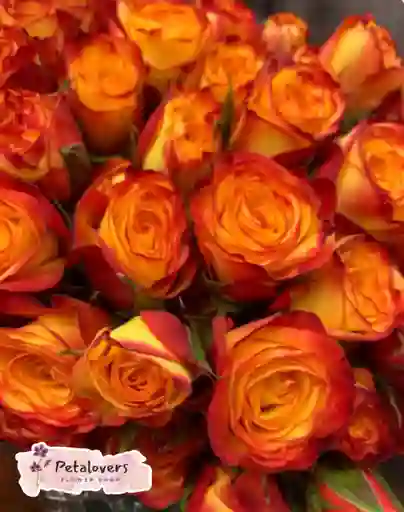 Arreglo Bouquet Rosas Naranjas Halloween