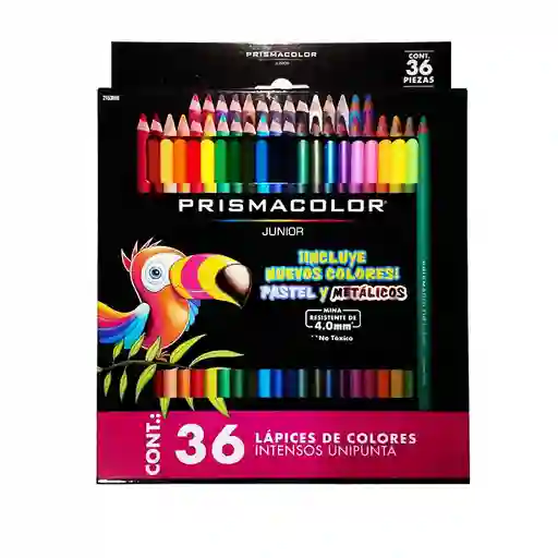 Colores Prismacolor 36 Unidades