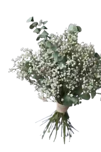 Bouquet De Gypsophila Y Eucalipto Baby