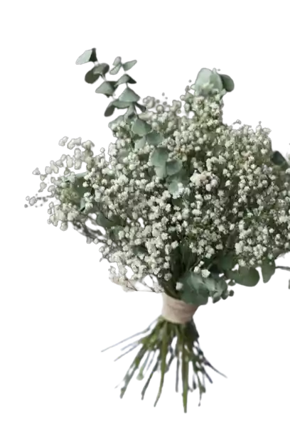 Bouquet De Gypsophila Y Eucalipto Baby