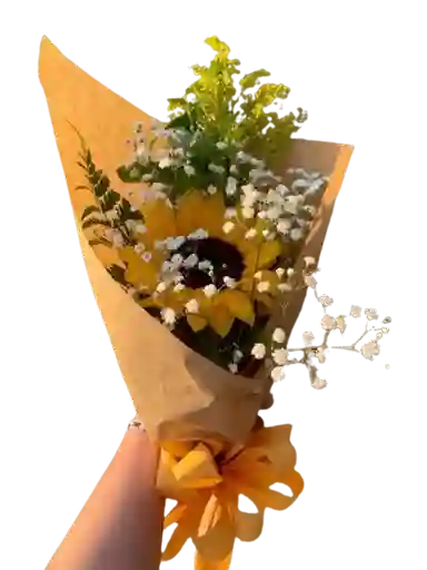 Girasol