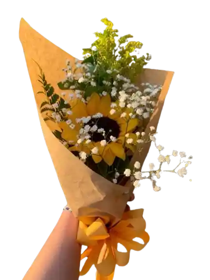 Girasol