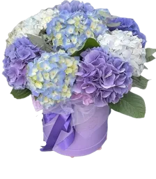 Caja Floral Con Hortensias