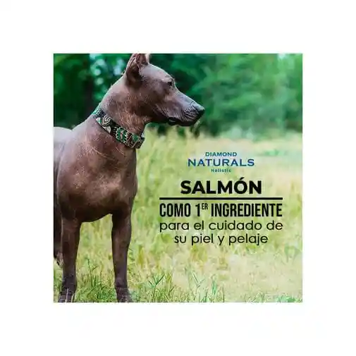 Diamond Naturals Small Skin Coat All Life Stage Dog 1kg