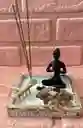 Mini Jardin Zen Buda 12x12