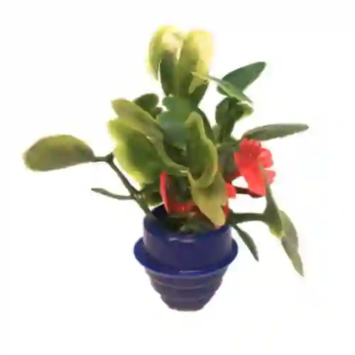 Florero Plastico Para Maqueta