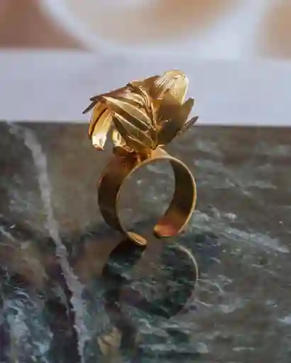 Anillo Helecho Romeron Aro