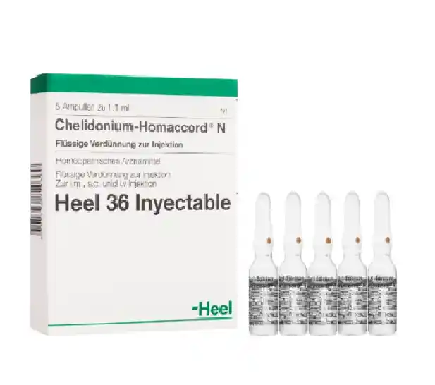 Chelidonium Homaccord Ampolla X 1.1ml