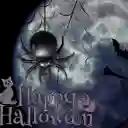 1 Globo De Araña Perfecto Para Tu Halloween