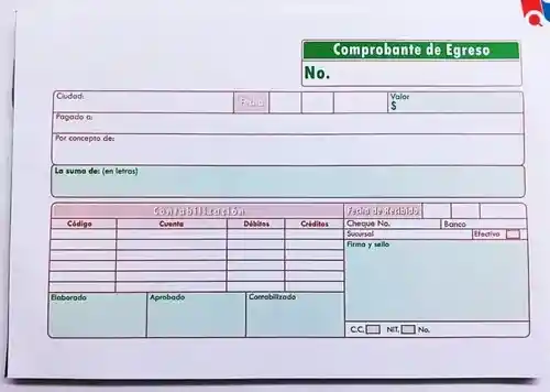 Comprobante De Egreso Paquete X80 Hojas