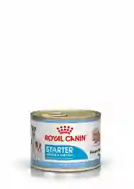 	royal Canin Started Mousse Mother And Bab