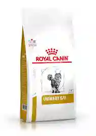 Royal Canin Felino Urinary So