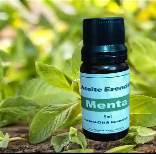 Aceite Esencial De Menta (mentha Piperita Herb Oil)