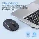 Mouse Inalambrico Con Receptor 1hora Rat001