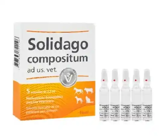 Solidago Compositum Ampolla X 2.2ml