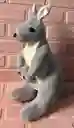 Peluche Canguro + Hijo 38 Alto Aproximadamente