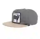 Black Sheep Visera Plana Grey