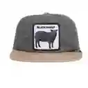 Black Sheep Visera Plana Grey