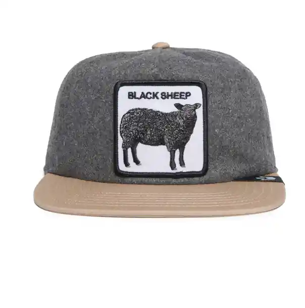 Black Sheep Visera Plana Grey