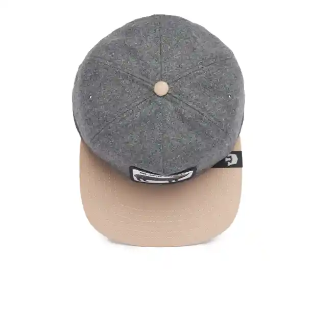 Black Sheep Visera Plana Grey