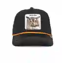 Wise Owl 100 Beisbolera Black