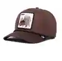 Porcupine 100 Beisbolera Brown