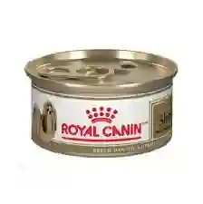 	royal Canin Shitzu Lata X 85gr