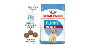 Royal Canin Medium Cachorro Perro