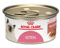 	royal Canin Kitten Lata X 85 Gr