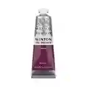 Winton Oleo - 37ml, Magenta