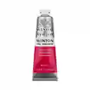 Winton Oleo - 37ml, Rosa Permanente