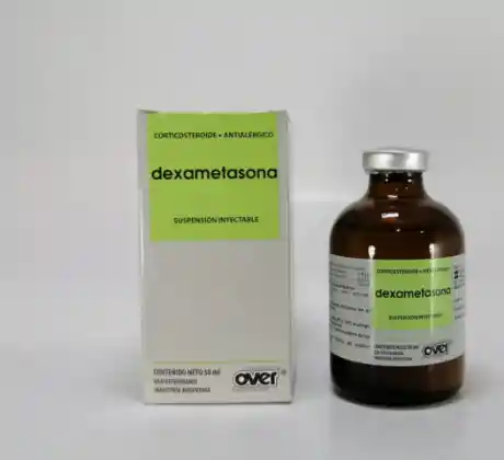 Dexametasona Iny X 50 Ml Over