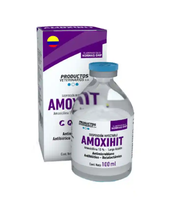 Amoxihit X 100 Ml