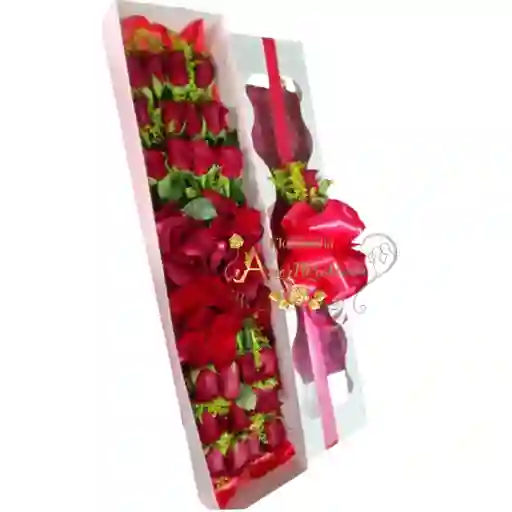 Rosas Encantadas Floristería En Cali