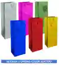 Bolsa De Regalo Metalizada Para Botella De Licor Colores Surtidos Primavera
