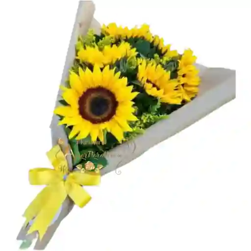 Sonrisa Solar Flores Cali