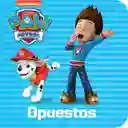 Libro Infantil Educativo Paw Patrol 12 En 1 Para Niño