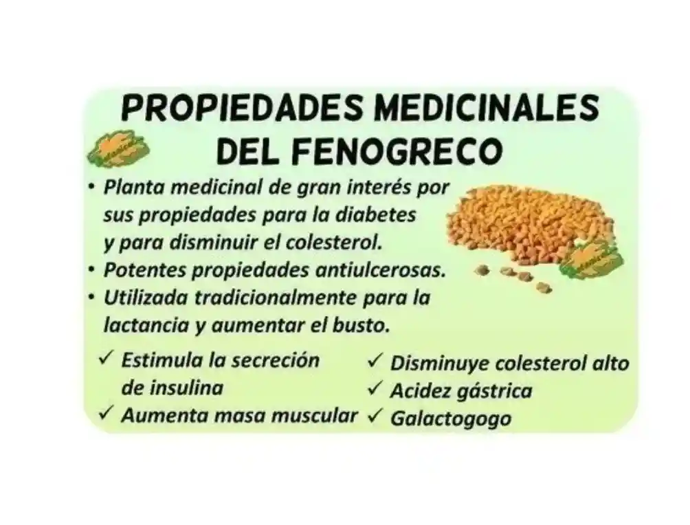 Fenogreco Fenugreek 2000 Mg Por 100 Capsulas