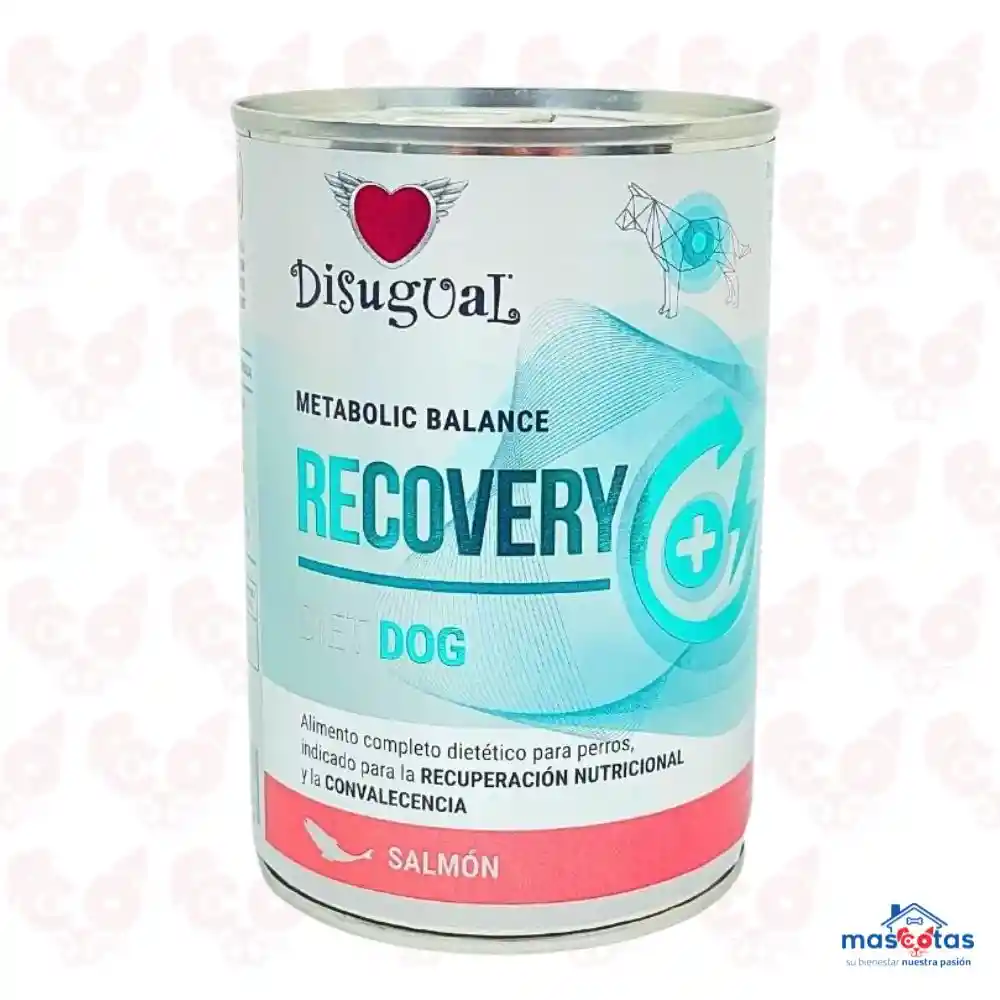 Lata Disugual Dog Recovery Salmon 400g