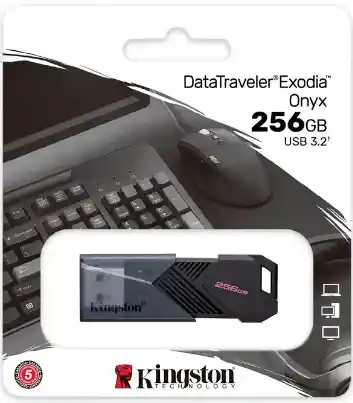 Memoria Usb 3.2 256gb Kingston Dtxon/256gb