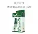 Afrodita Endurecedor De Uñas