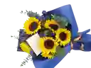 Bouquet De Girasoles X8