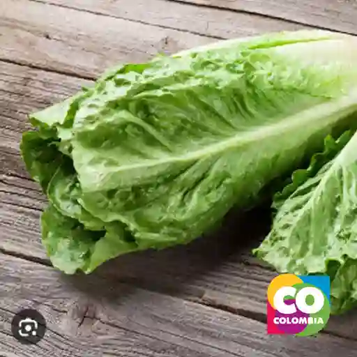 Lechuga Romana 500 Gramos