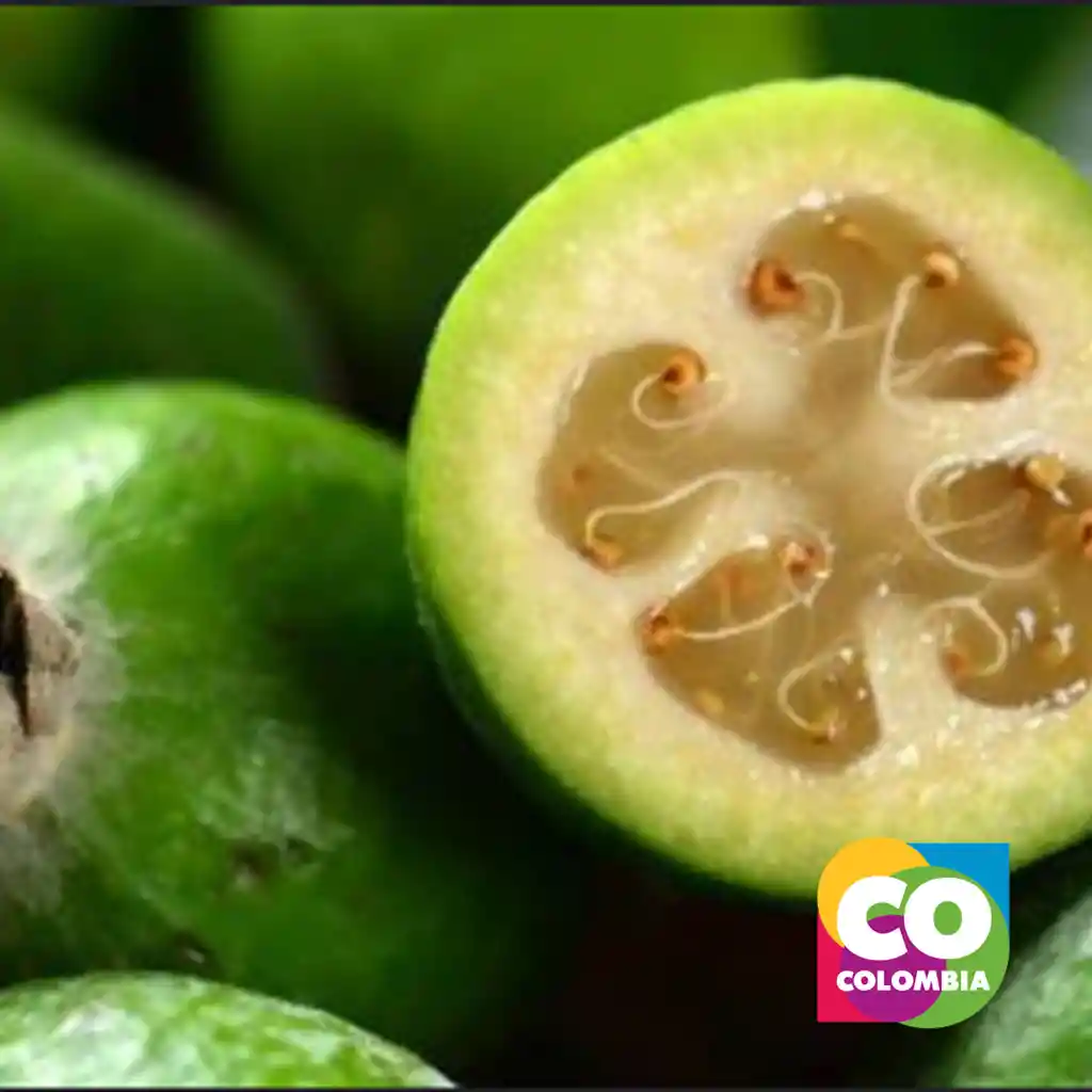 Guayaba Feijoba 500 Gramos