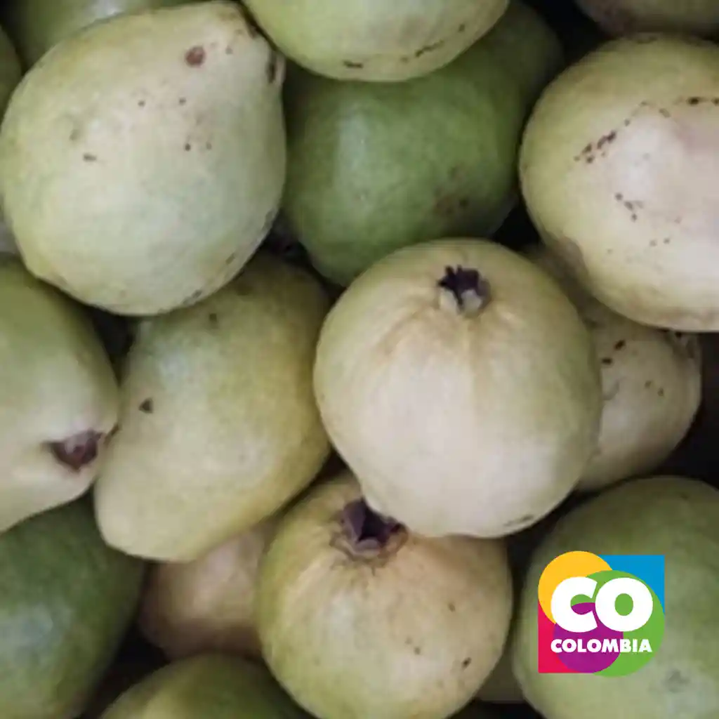 Guayaba Pera 500 Gramos