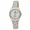 Reloj Qq Qyq Q207j401y Casual Acero Mujer Dama + Estuche