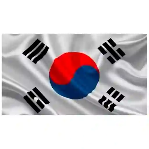 Bandera Corea Del Sur 1.50x90cm Exterior Grande