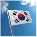 Bandera Corea Del Sur 1.50x90cm Exterior Grande