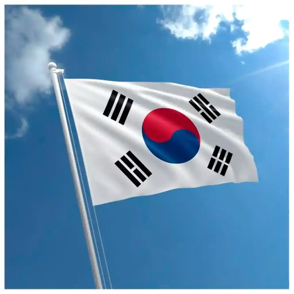 Bandera Corea Del Sur 1.50x90cm Exterior Grande